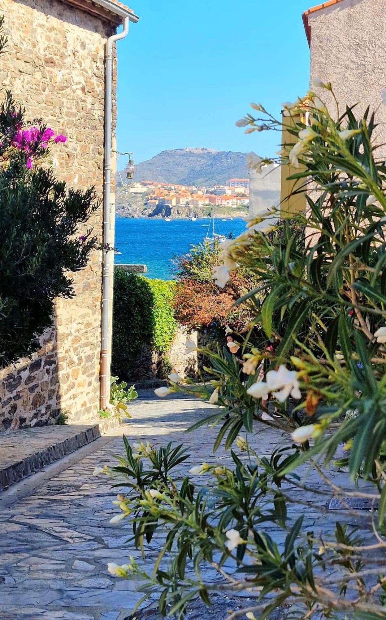 4Rb44 Appartement Proche Plage Collioure Exteriér fotografie