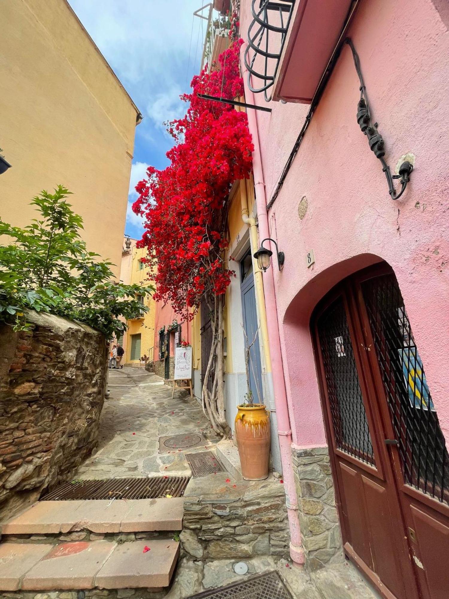 4Rb44 Appartement Proche Plage Collioure Exteriér fotografie