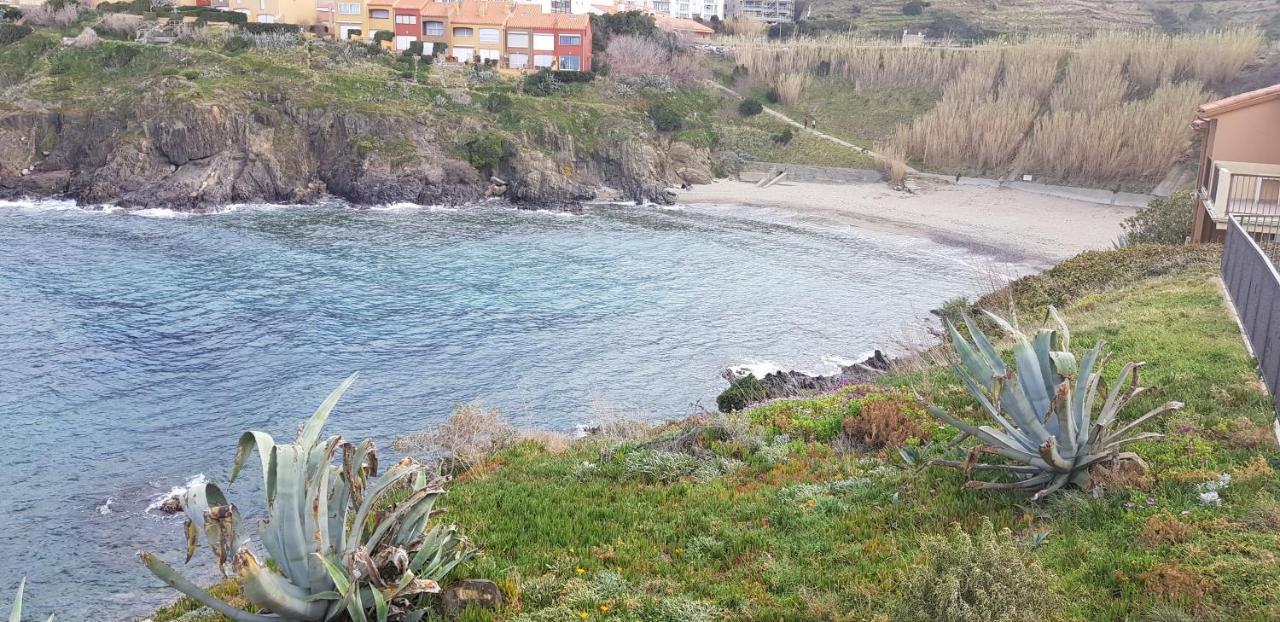 4Rb44 Appartement Proche Plage Collioure Exteriér fotografie